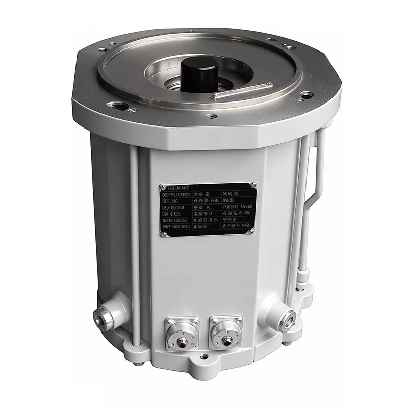 Screw Vacuum Pump Motor