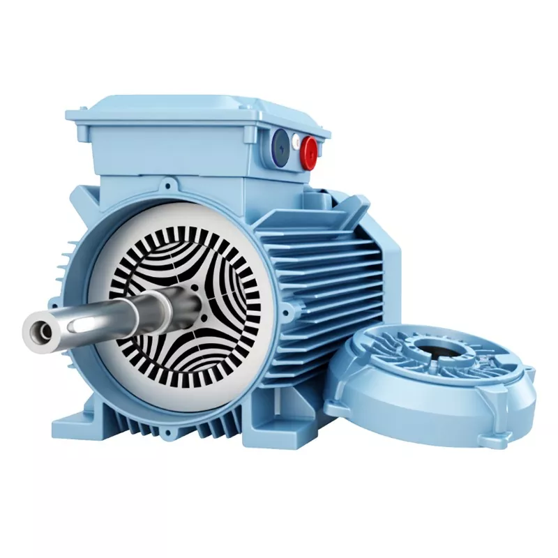 IP65 nemagnetinis sinchroninis variklis